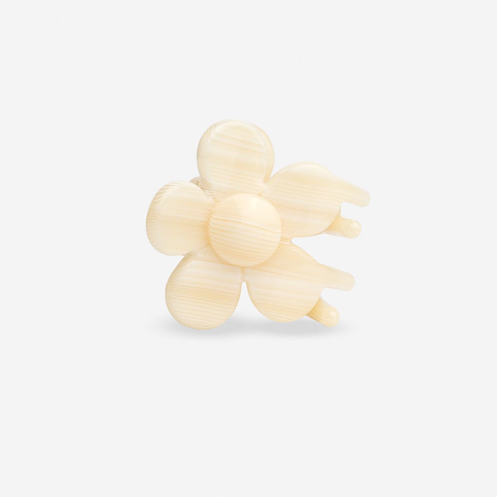 12122148-Farbe-Macadamia