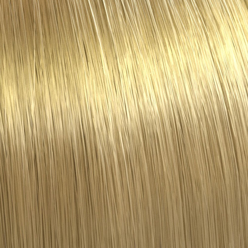 12123529-Farbe-Lichtblond Natur-Asch 9/01