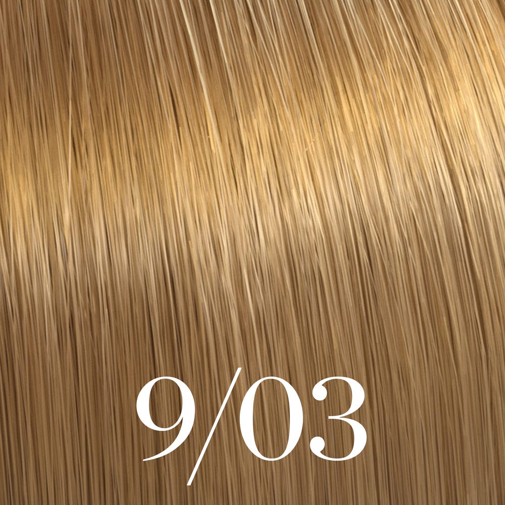 12123530-Farbe-Lichtblond Natur-Gold 9/03