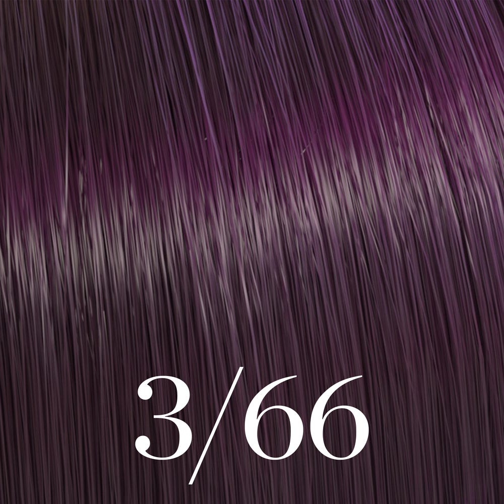 12123682-Farbe-dunkelbraun violett-intensiv 3/66
