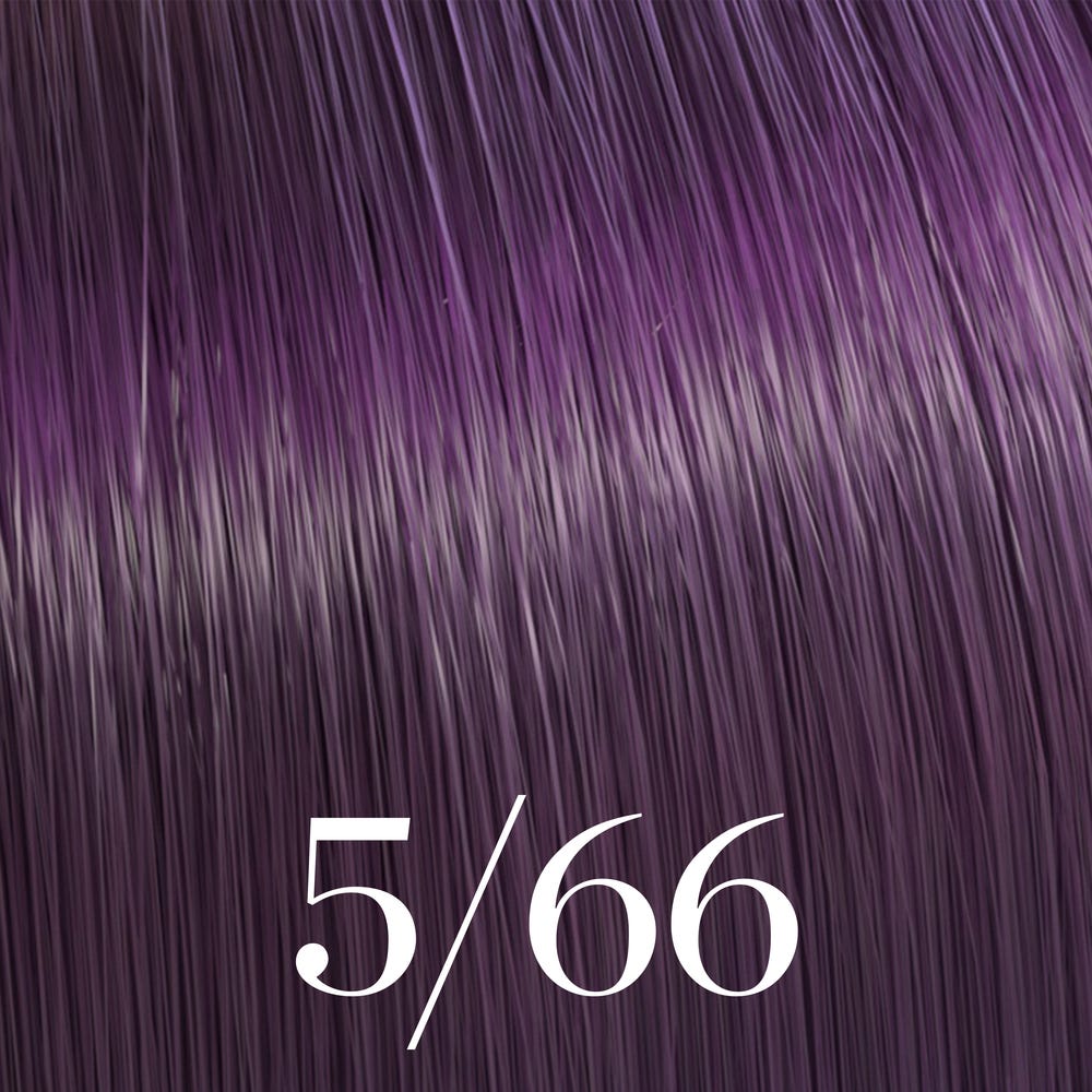 12123683-Farbe-hellbraun violett-intensiv 5/66
