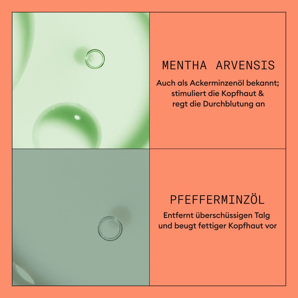 12124285-Menge-300 ml