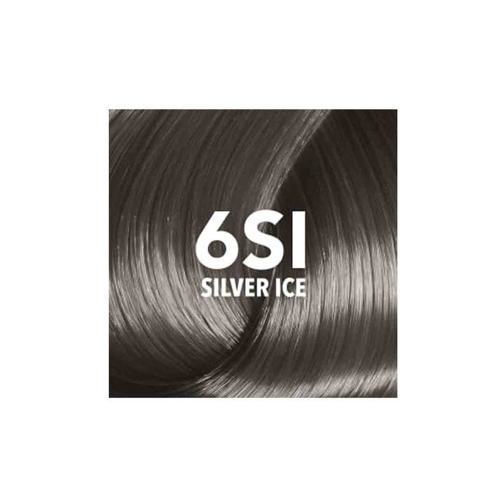 12124927-Farbe-6SI Dark Blond Silver Ice