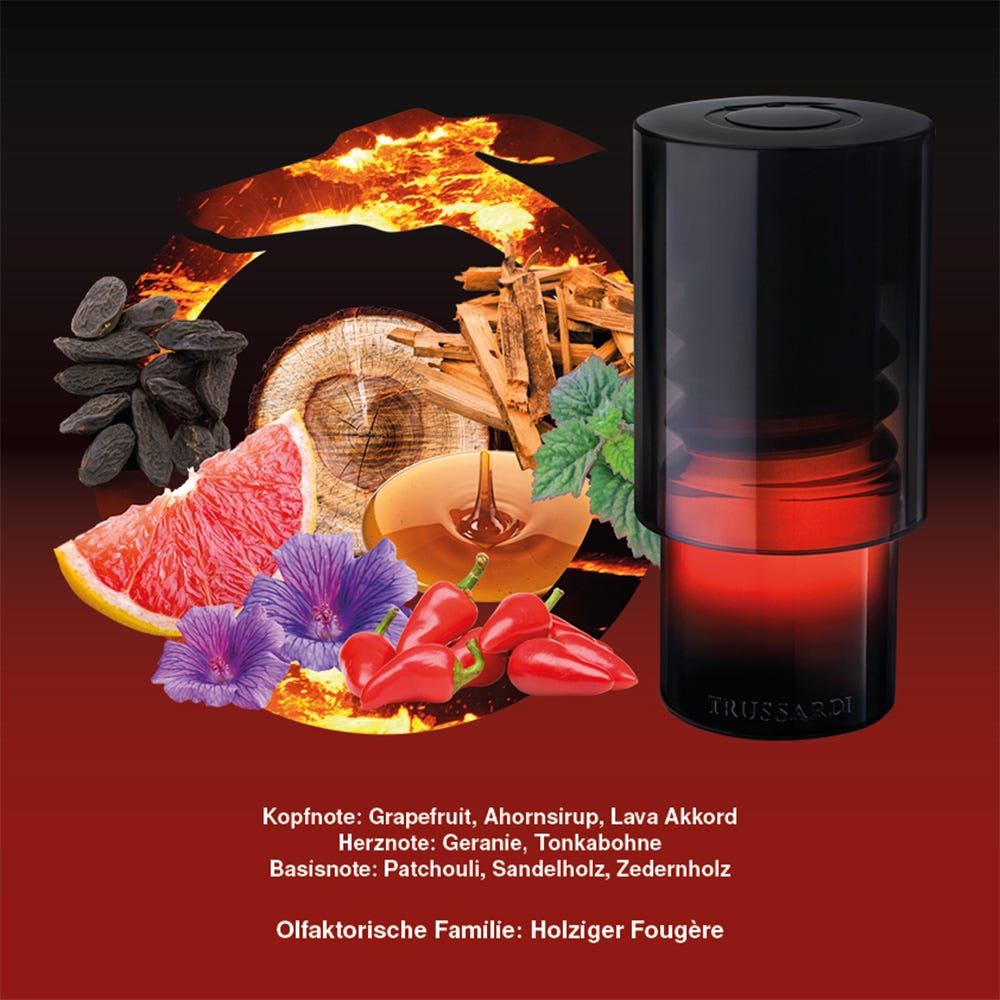 12125063-Menge-100 ml