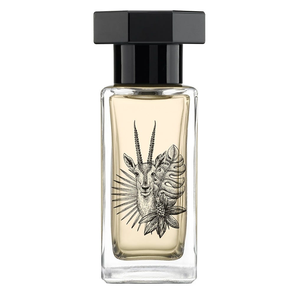 12125106-Menge-50 ml