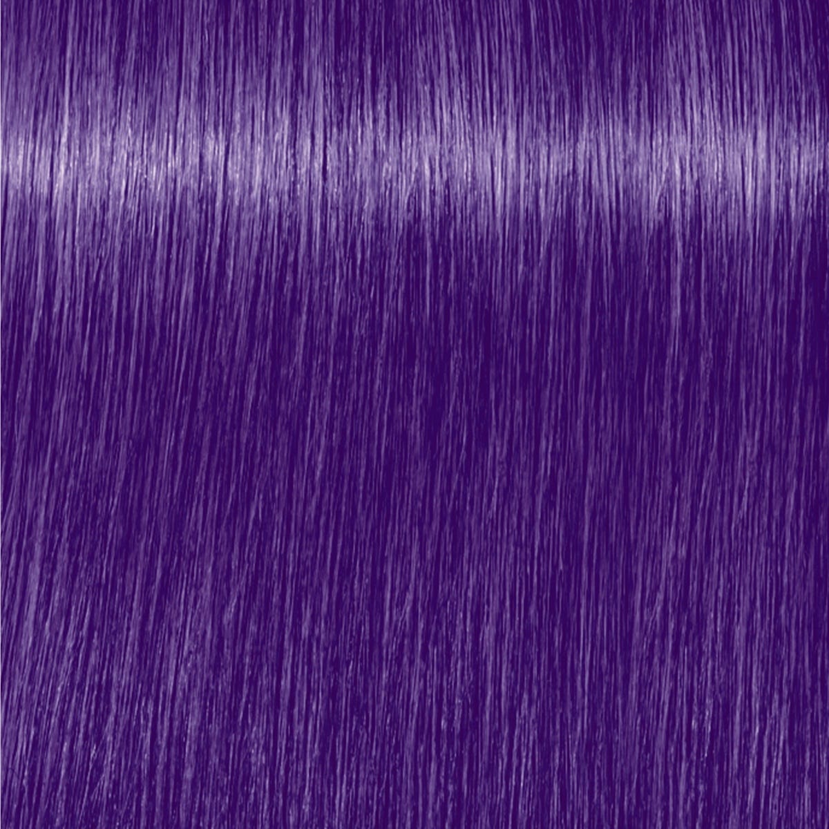 12127313-Farbe-Tiefes Violett