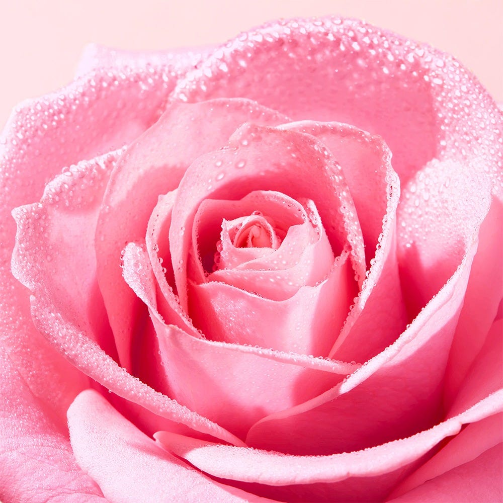 NUXE Very Rose Reinigungsöl 150 ml