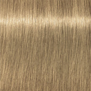 12128547-Farbe-Natur