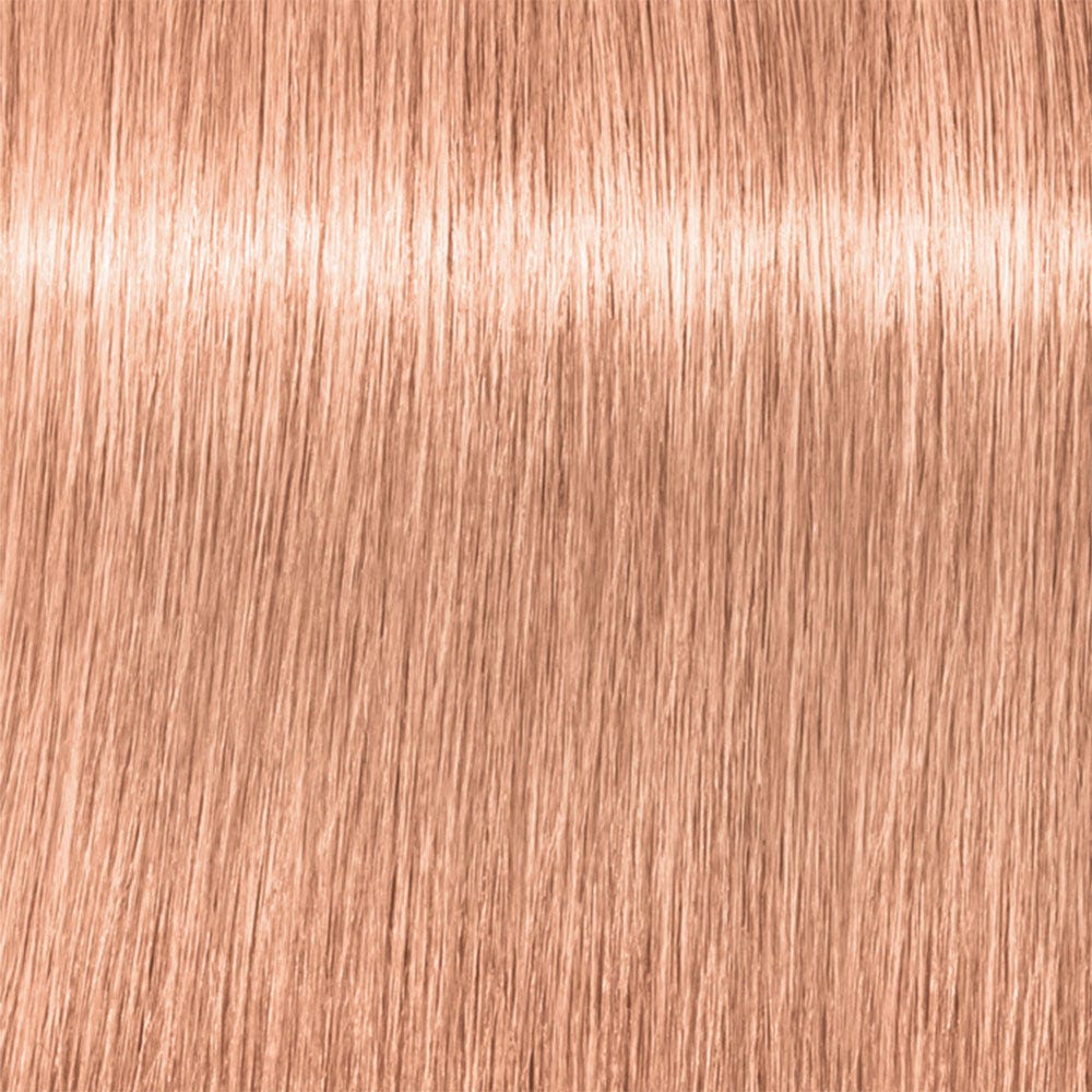 12128549-Farbe-P.16 Ash Rot