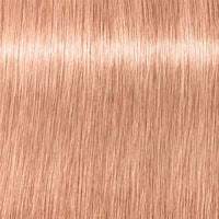 P.16 Ash Rot