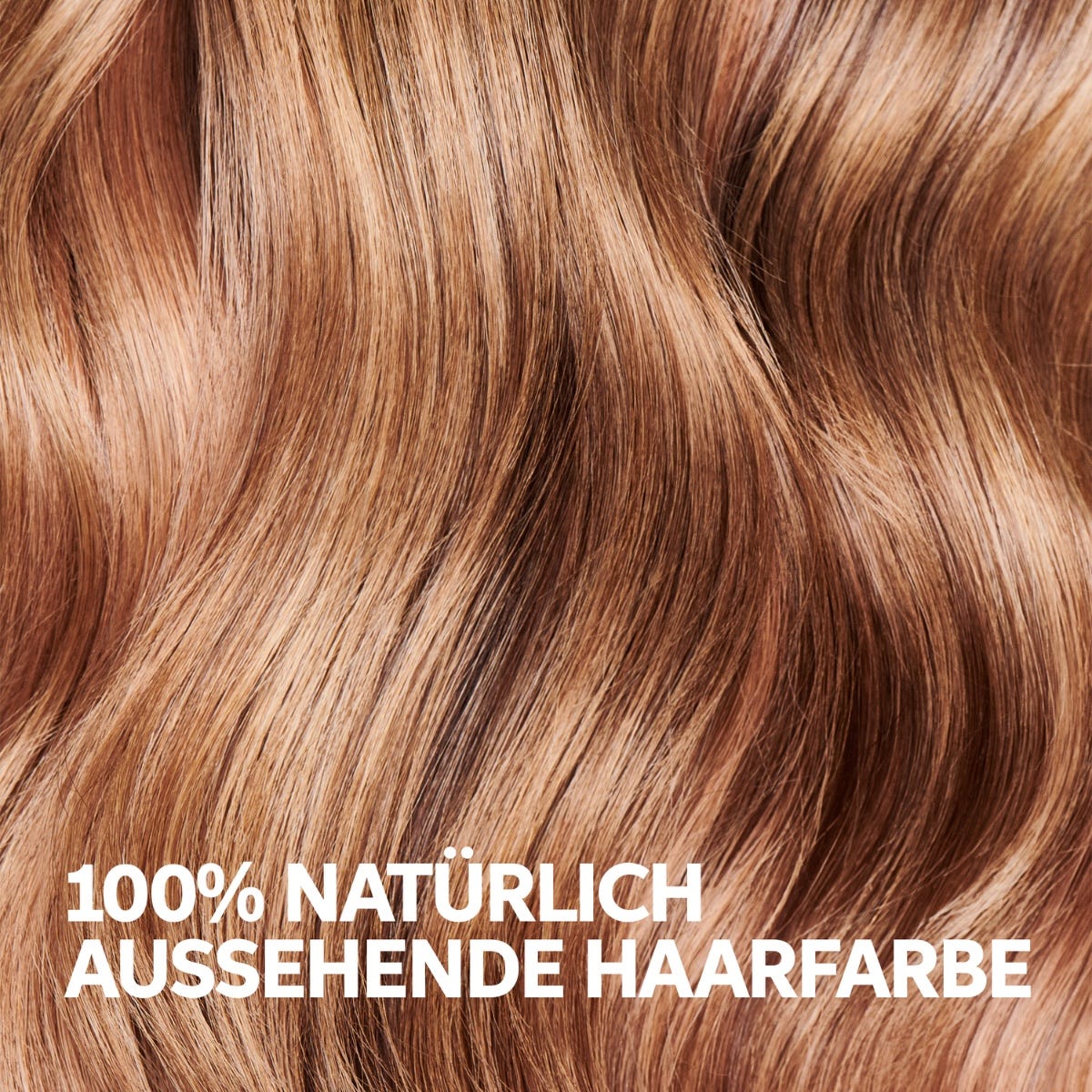 12129079-Farbe-10/53 Hell-Lichtblond Mahagoni-Gold