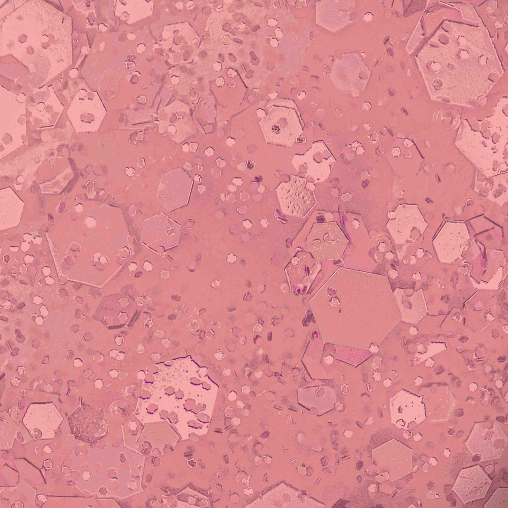 12129617-Farbe-Pink