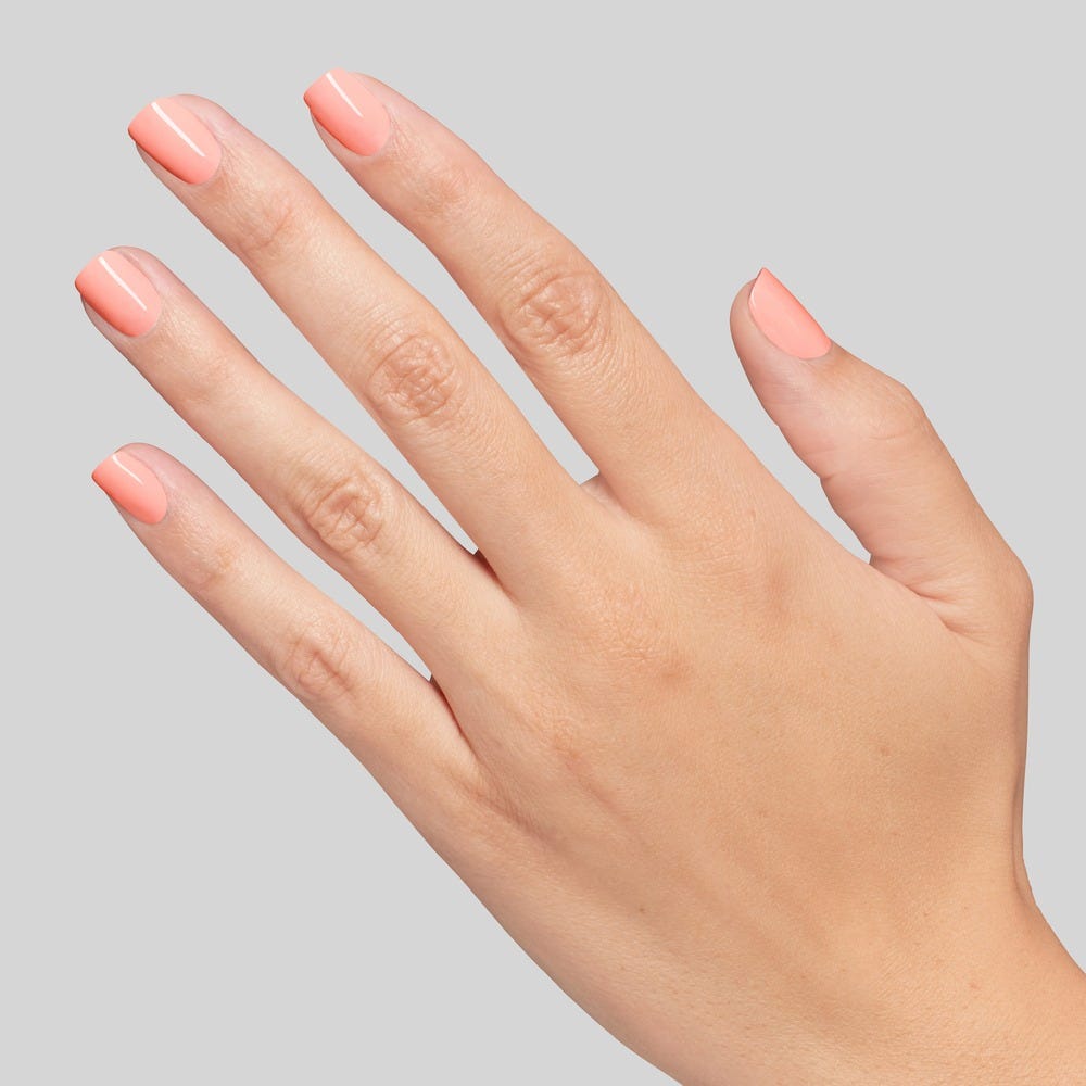 12129618-Farbe-Rose