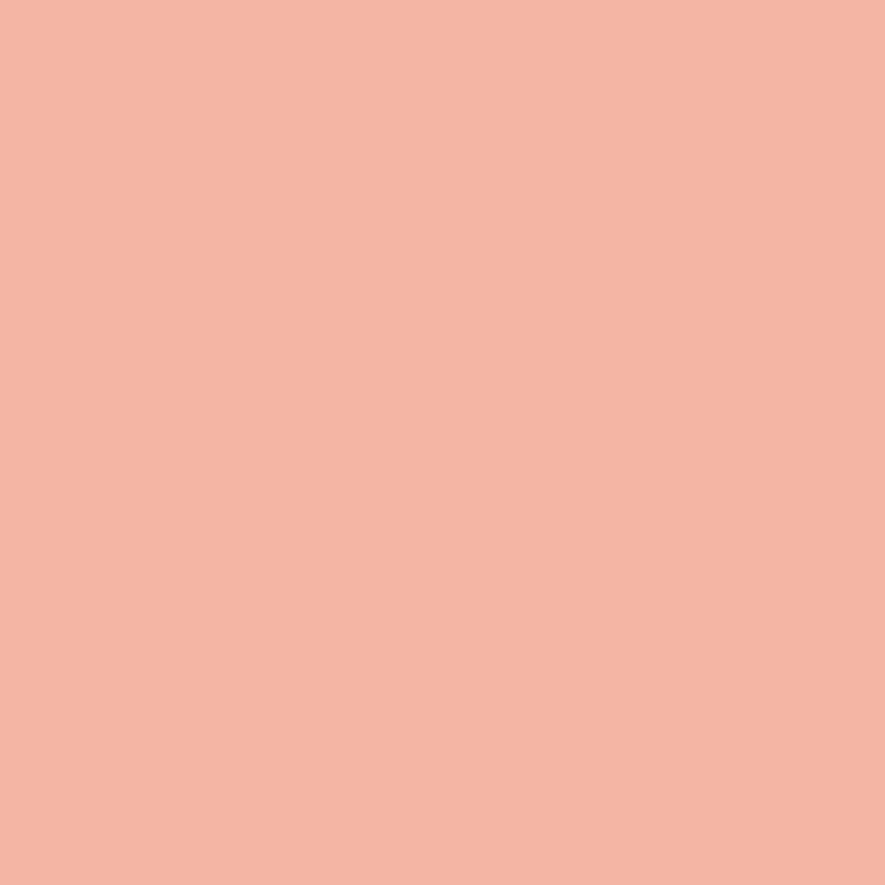 12129618-Farbe-Rose