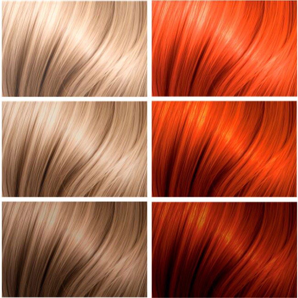 12130804-Farbe-Pumpkin