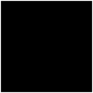 01 Black