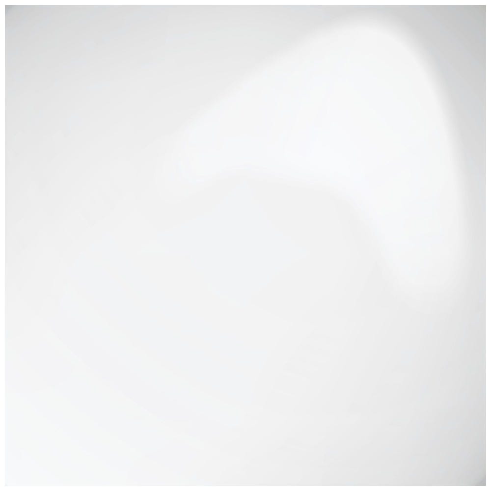 12132010-Farbe-Base Coat