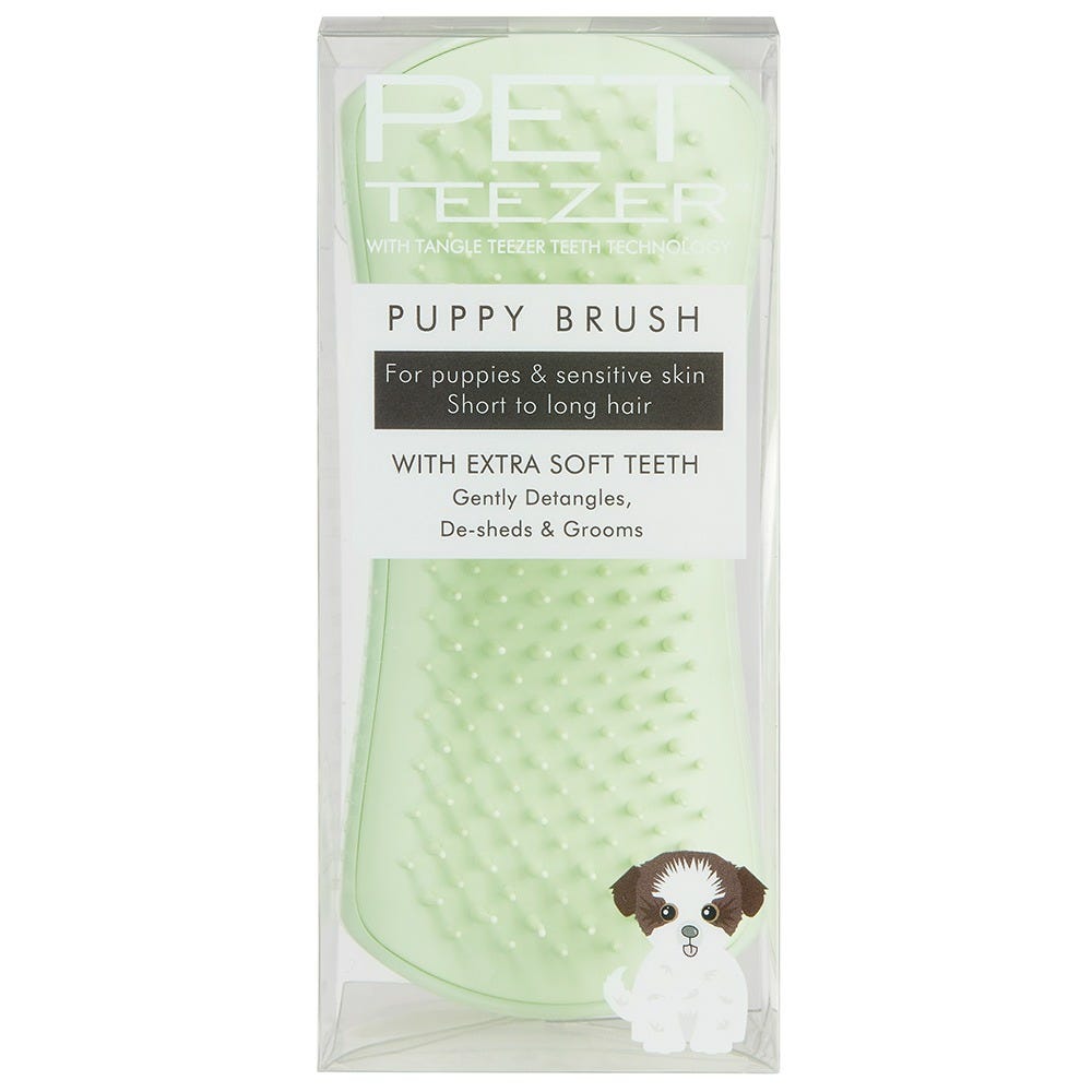 12133094-Farbe-Mint