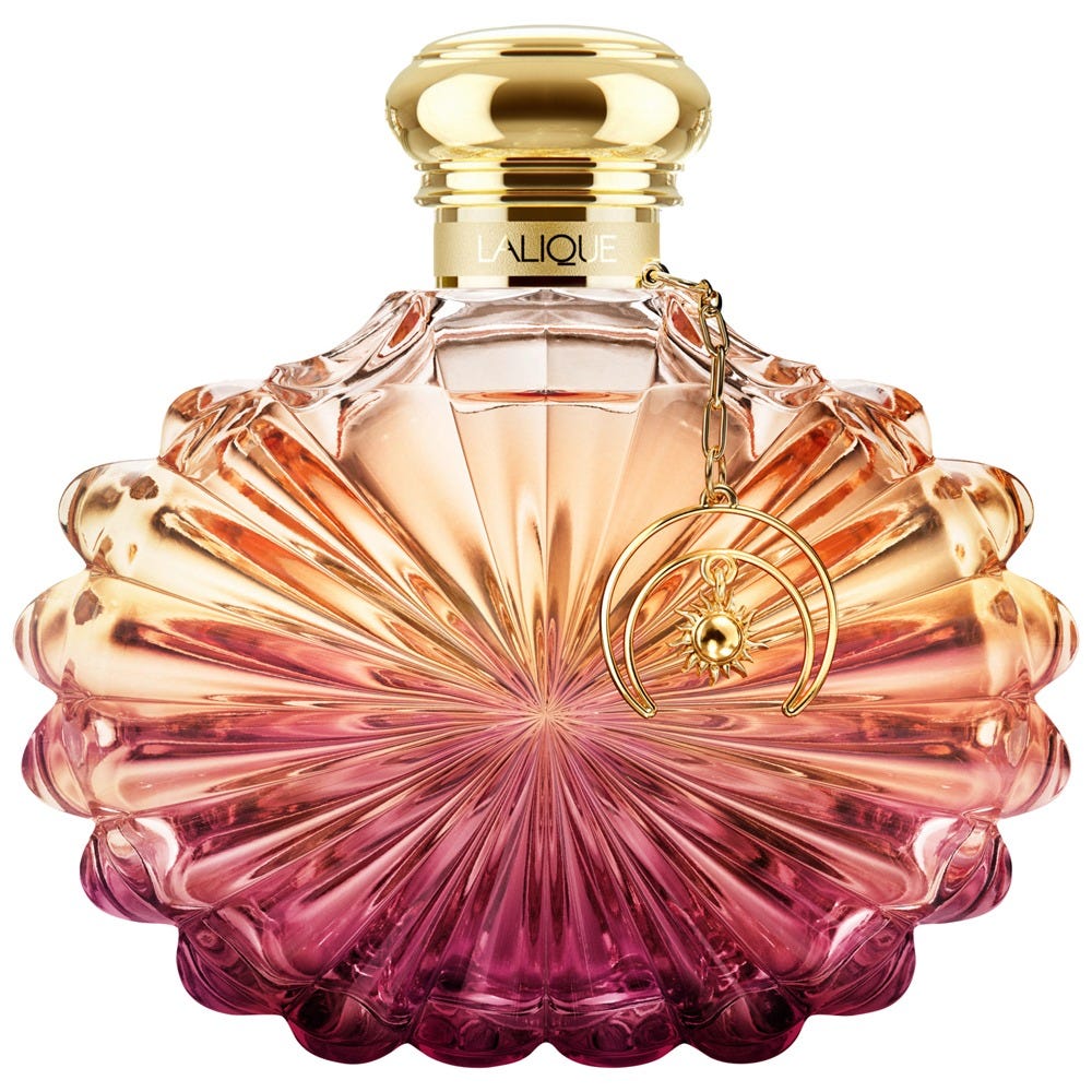 12134526-Menge-50 ml