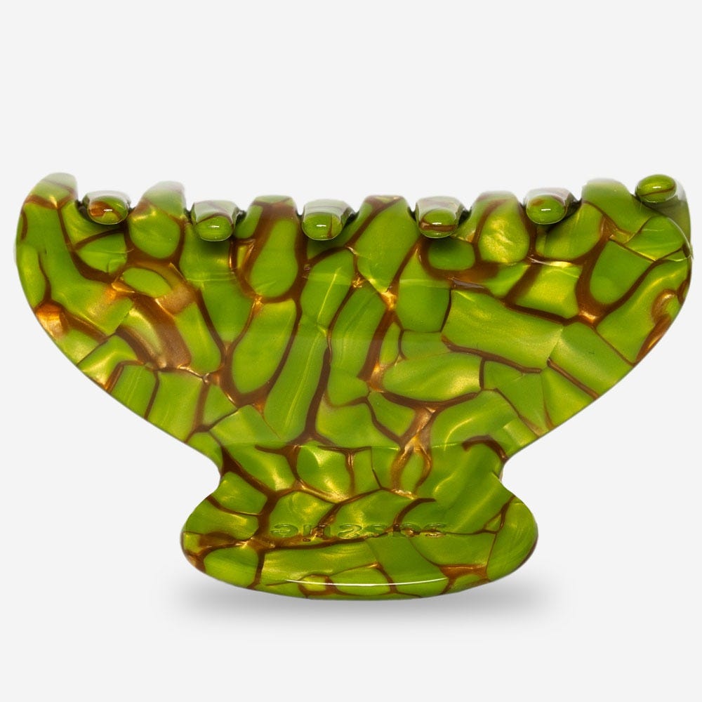 12134901-Farbe-Turtle
