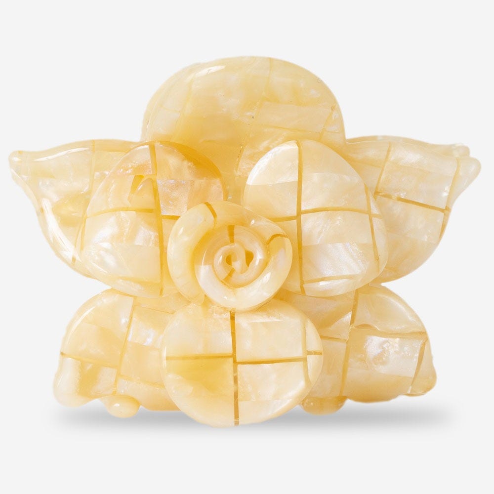 12134908-Farbe-Coco