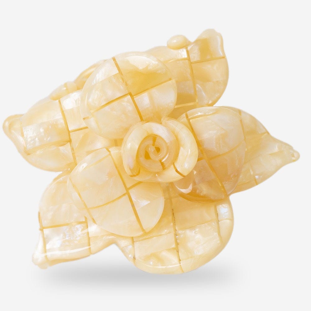 12134908-Farbe-Coco