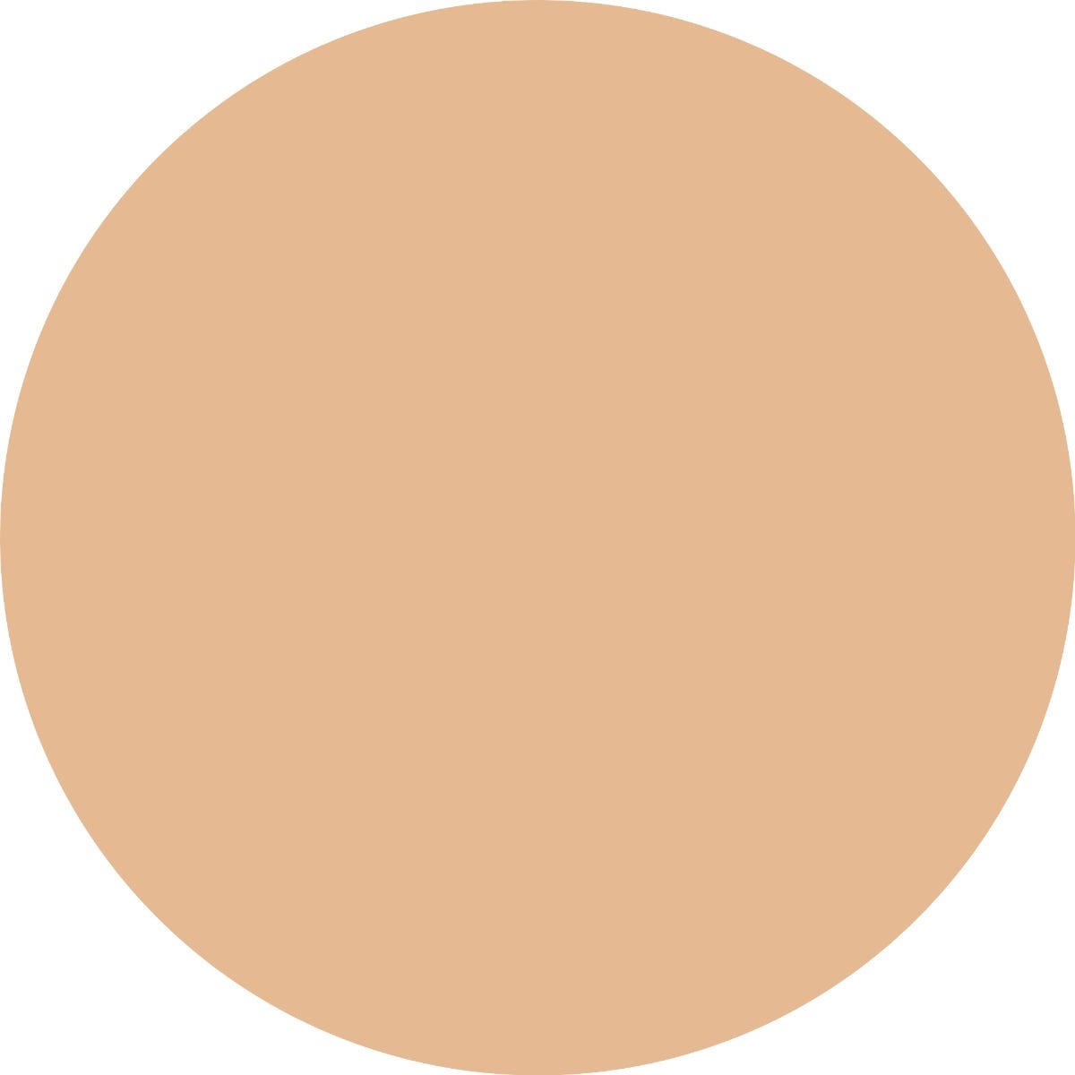 Catrice Liquid Camouflage High Coverage Concealer 010 20 g