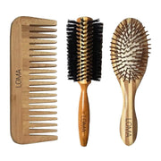 LOMA Brush Bundle