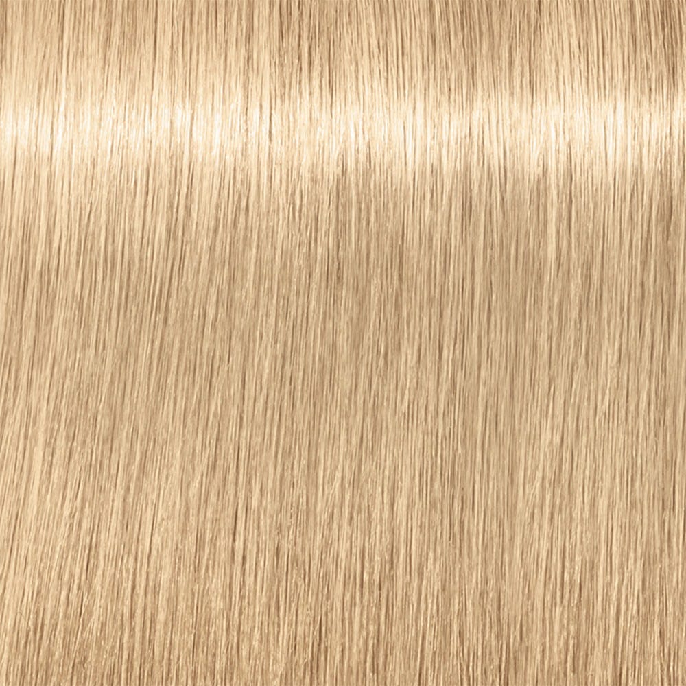 12139173-Farbe-Ultrablond Natur