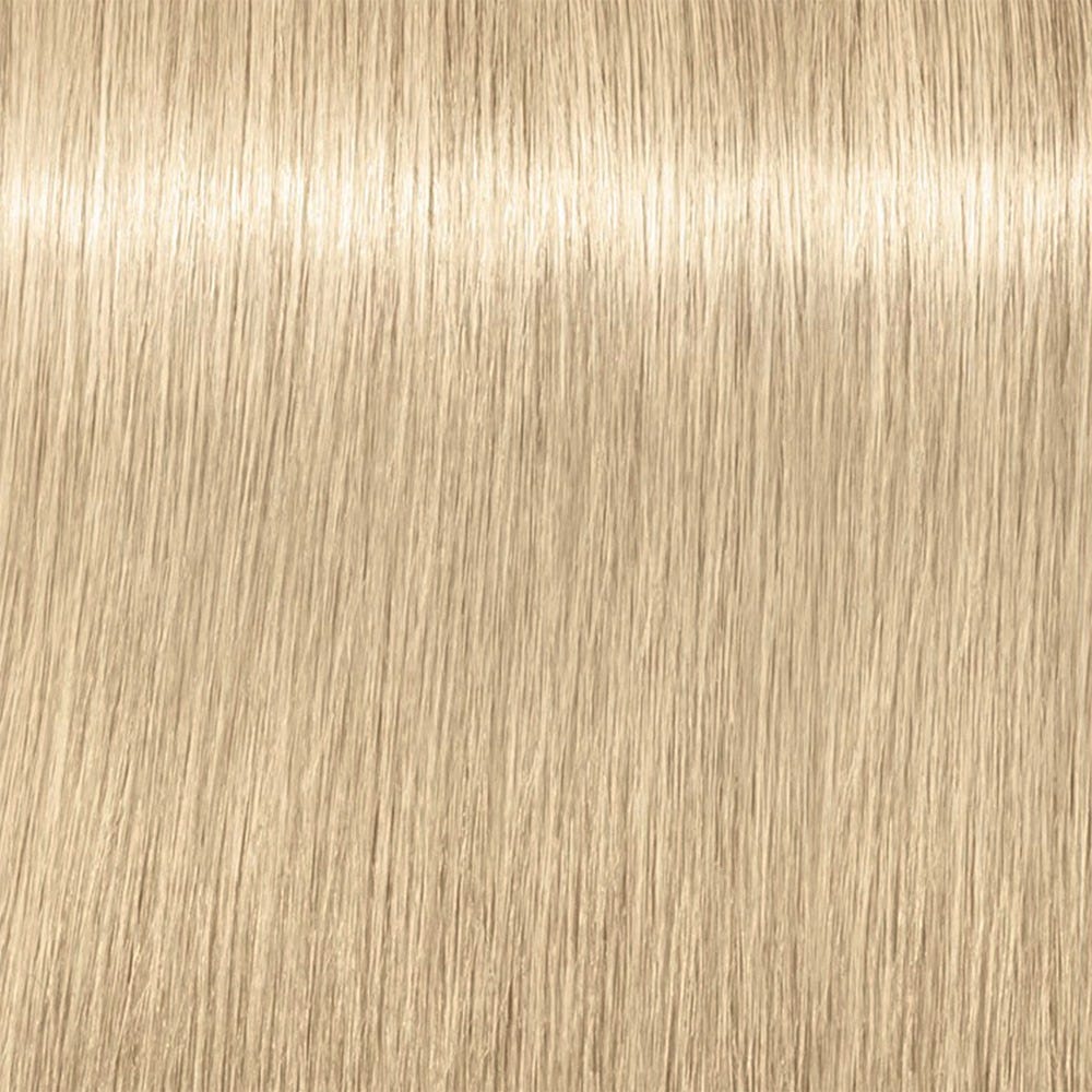 12139174-Farbe-Spezialblond Cendré