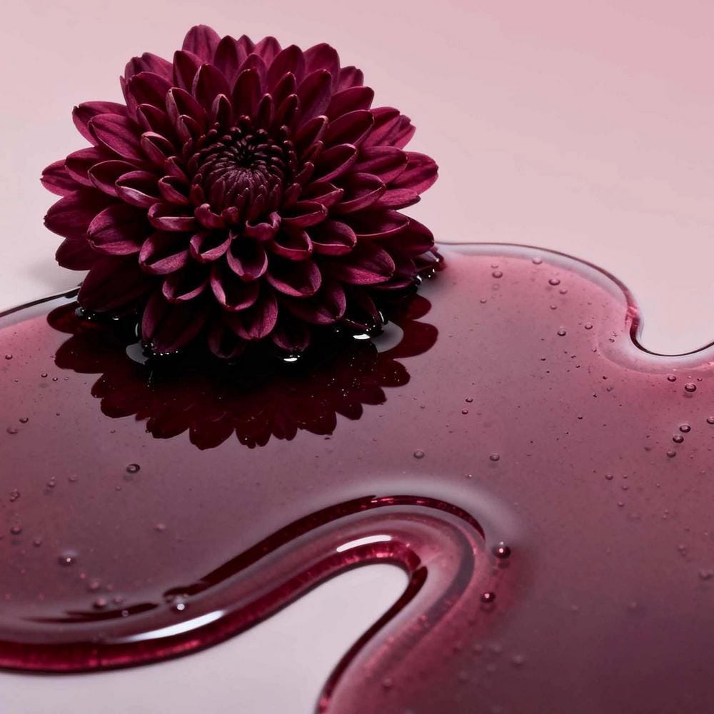 12140444-Farbe-Midnight Dahlia