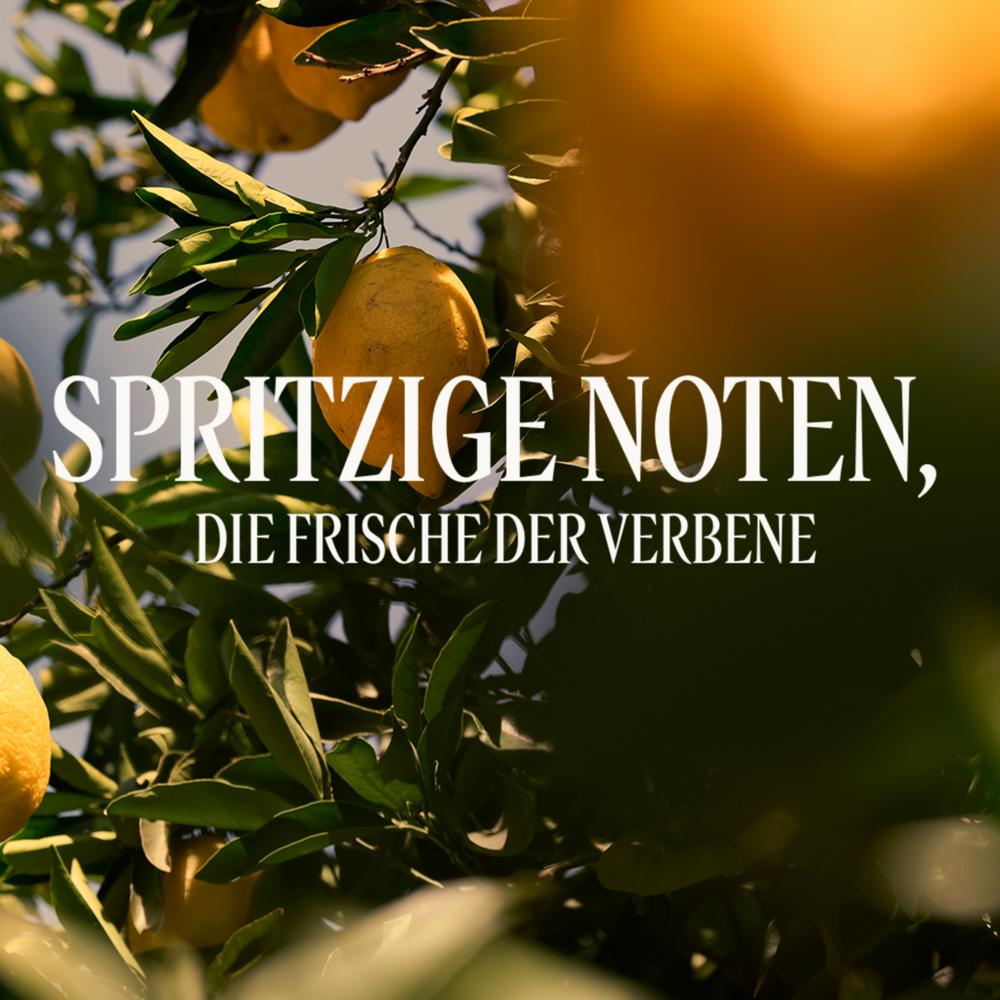 L'Occitane Verveine Argumes Duschgel 250 ml