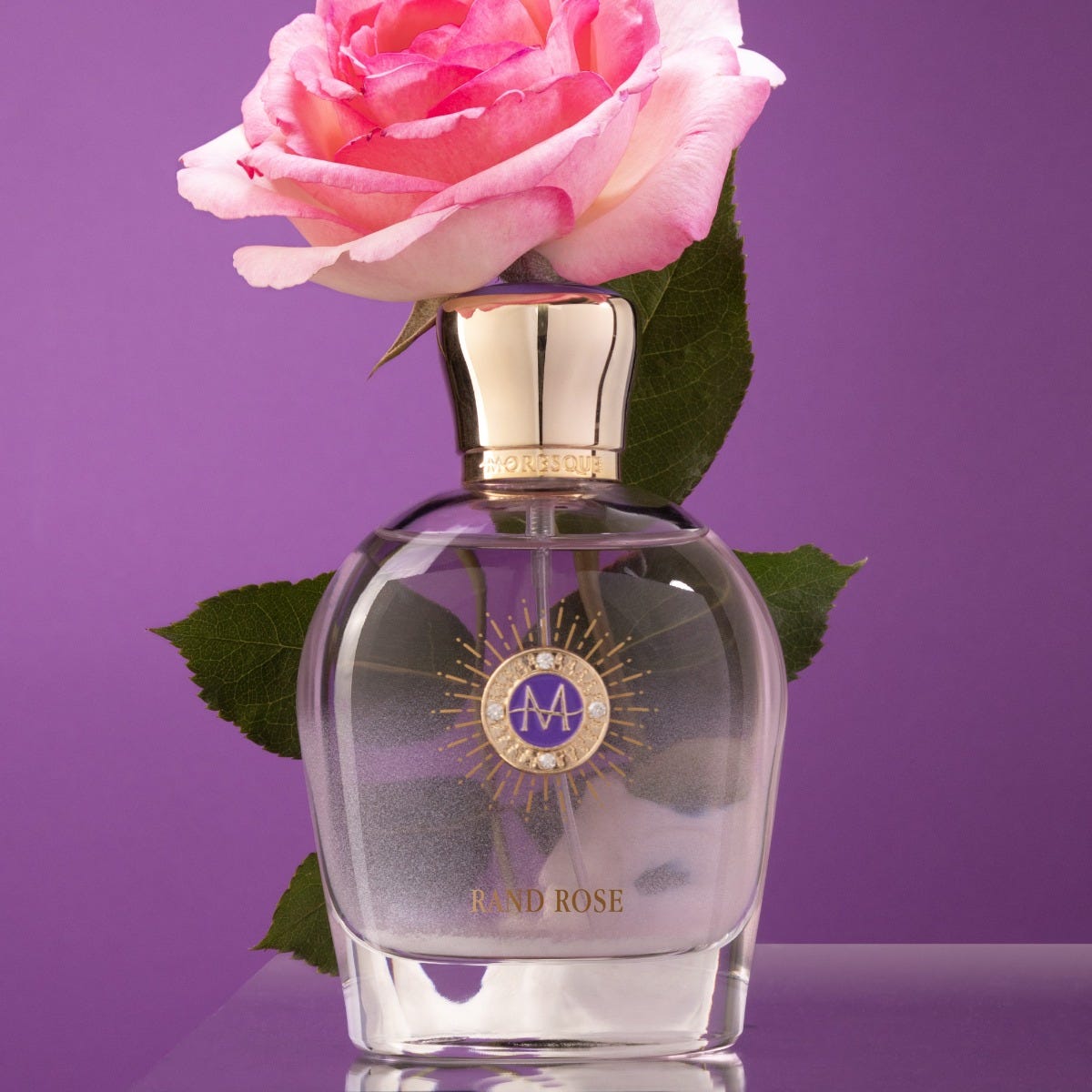MORESQUE Rand Rose Eau de Parfum 100 ml