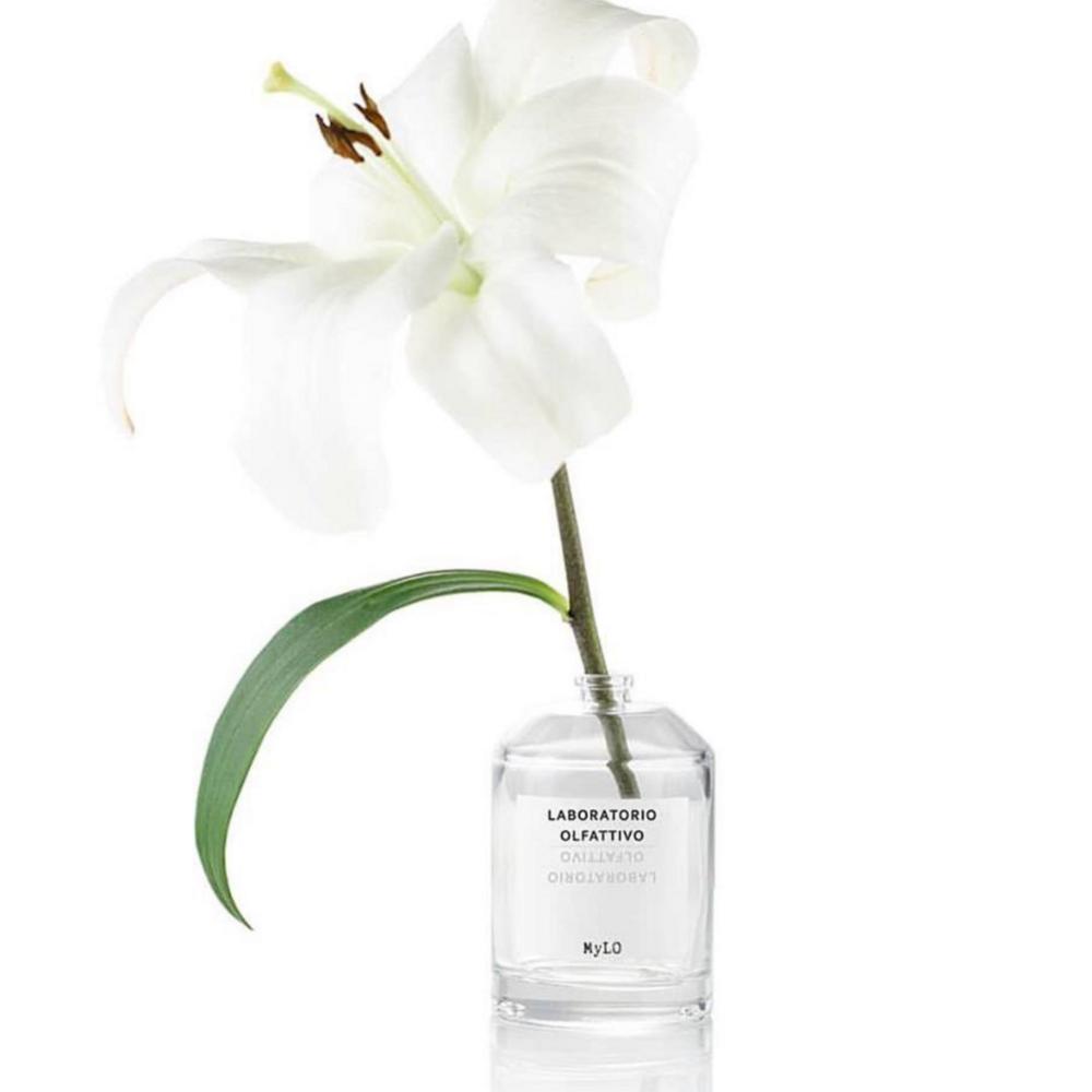 12145144-Menge-100 ml