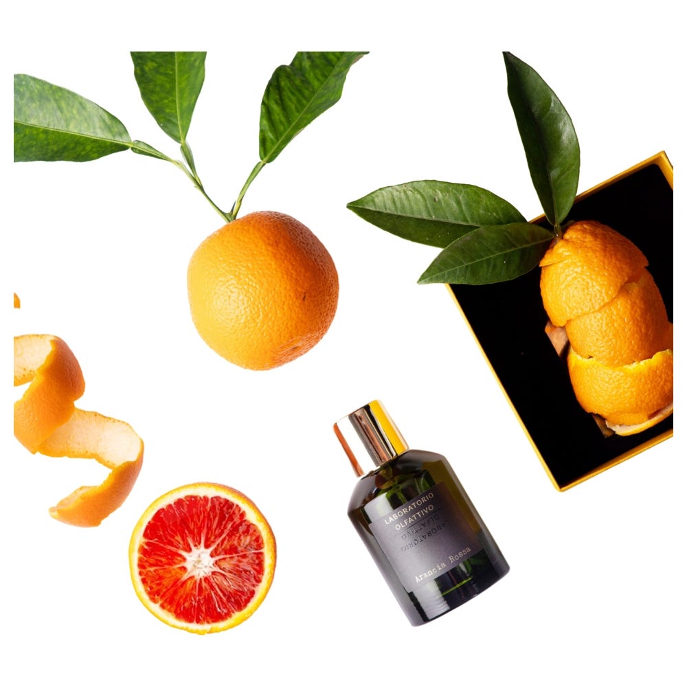 Laboratorio Olfattivo Arancia Rossa 100 ml