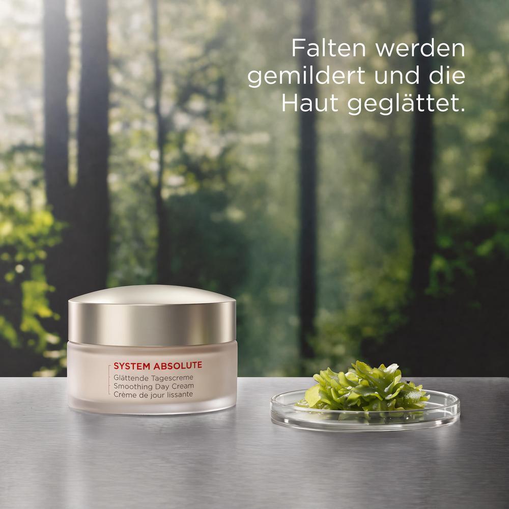 ANNEMARIE BÖRLIND SYSTEM ABSOLUTE Glättende Tagescreme 50 ml