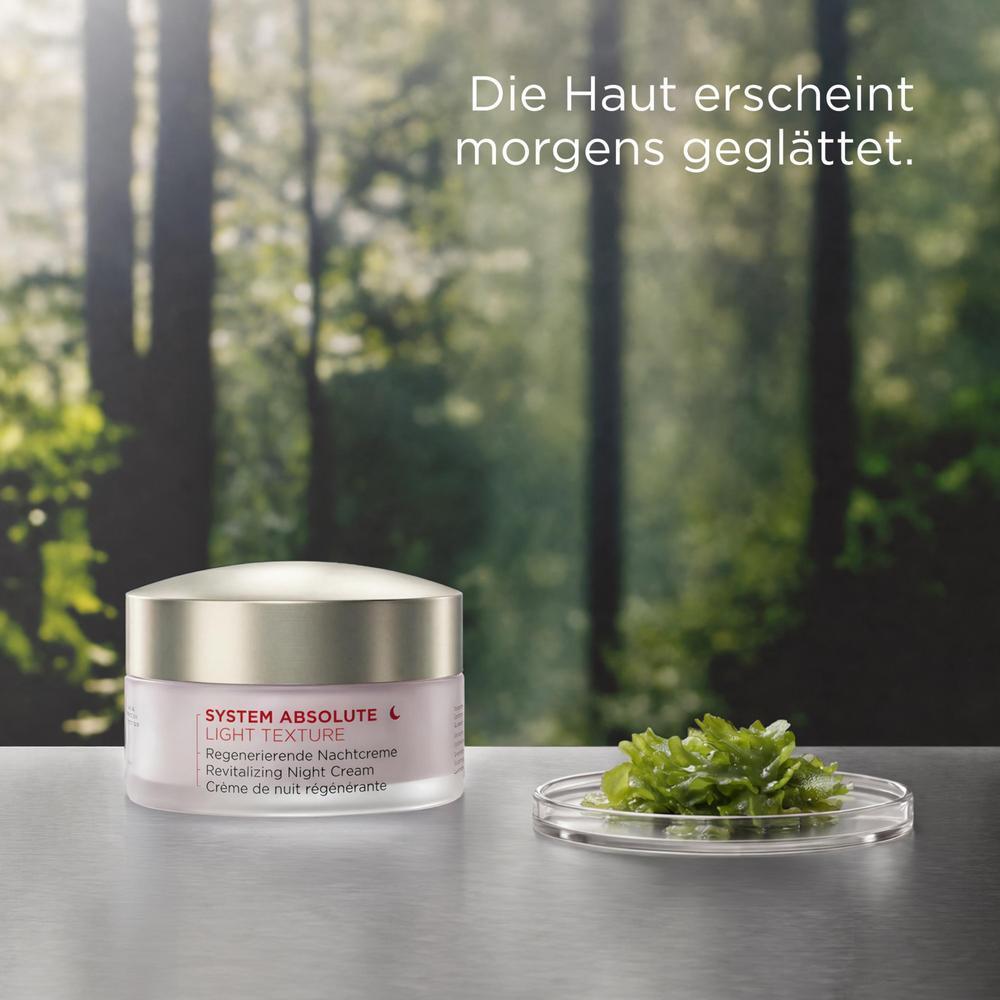ANNEMARIE BÖRLIND SYSTEM ABSOLUTE Regenerierende Nachtcreme 50 ml