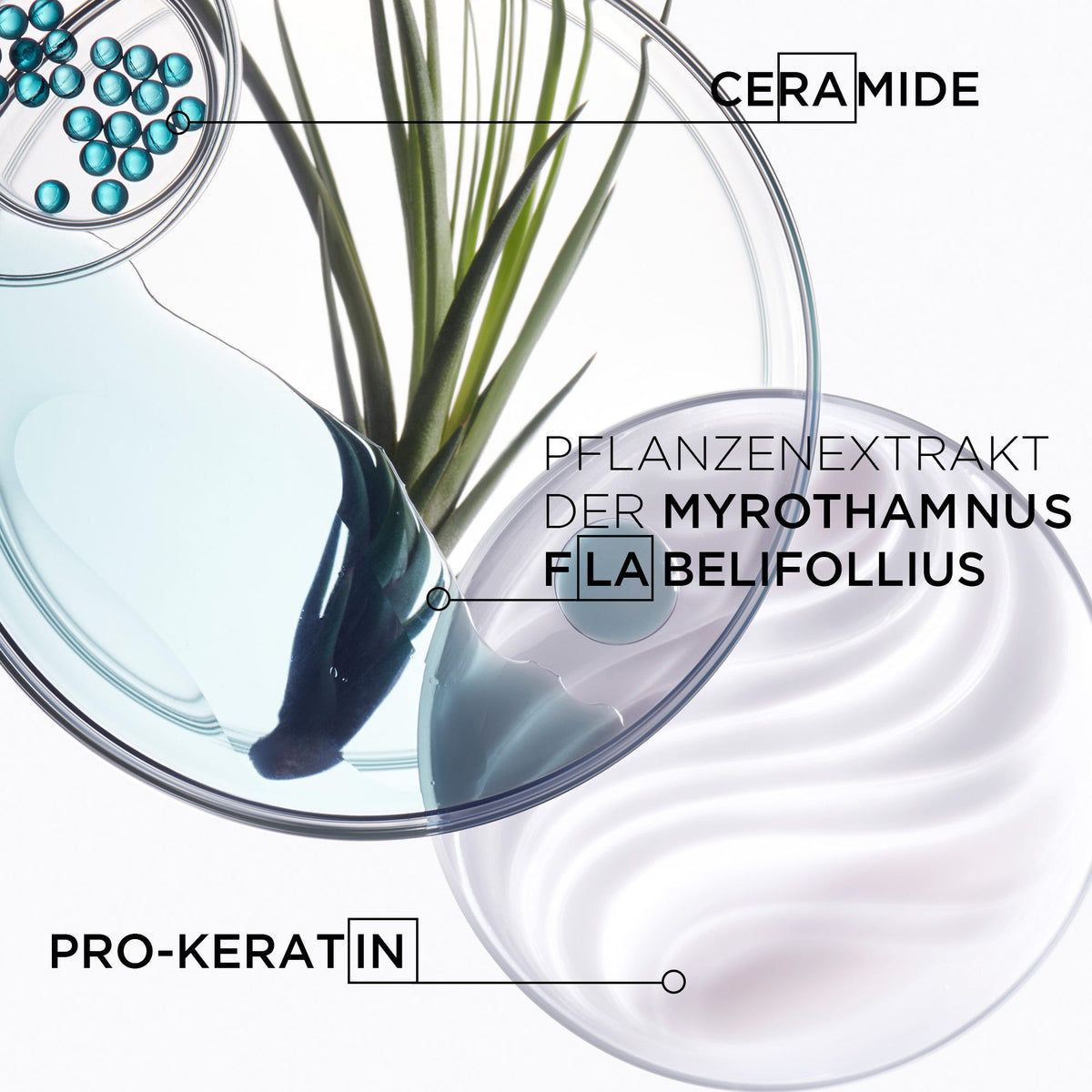 Kérastase Résistance Bain Force Architecte 500 ml Sondergröße