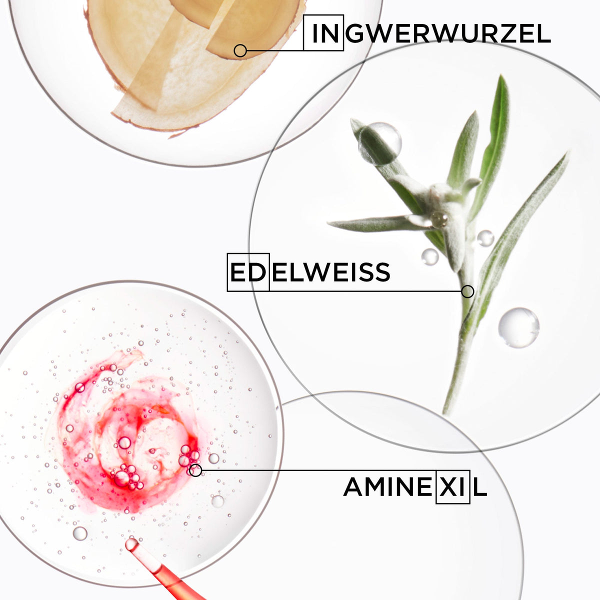 12094368-Menge-500 ml