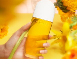 Sunflowers Thumbnail