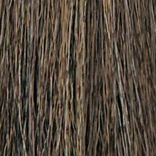 12056403-Farbe-6.1 ash dark blond