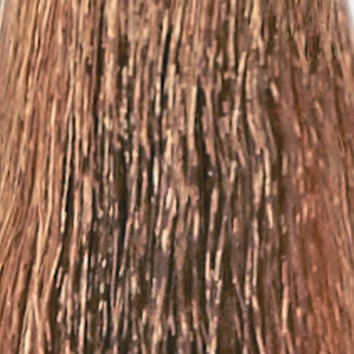 12056399-Farbe-7.13 bash god medium blond