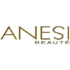 ANESI Logo