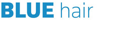 Blue Logo