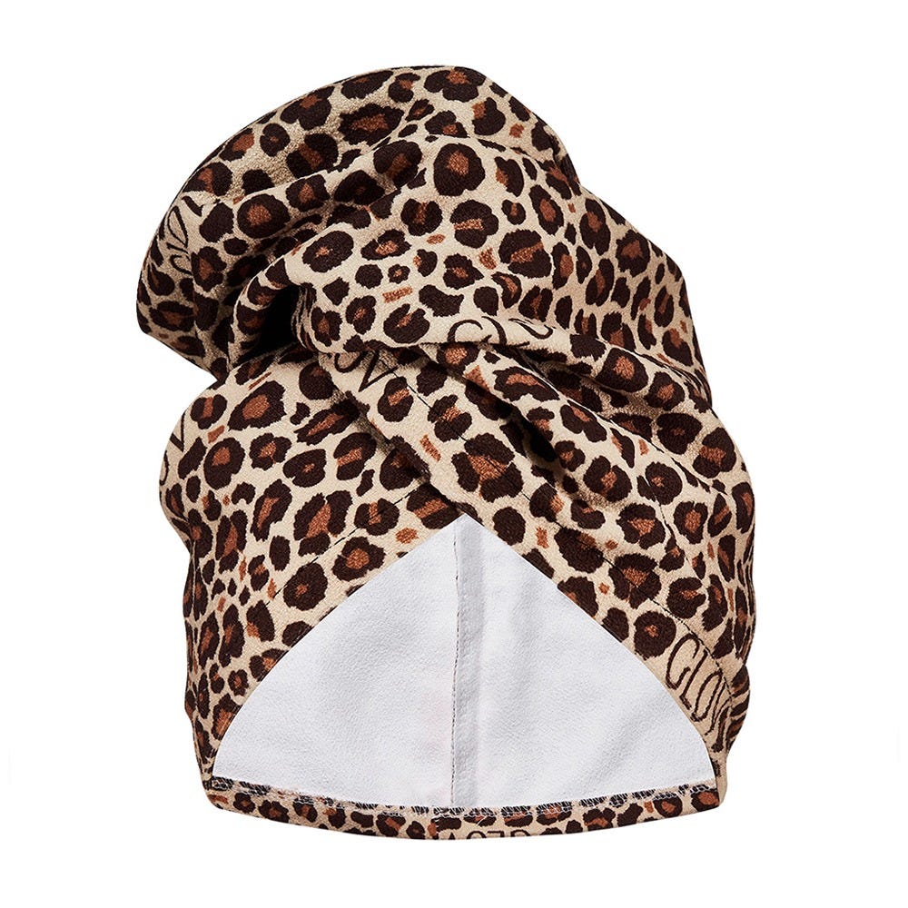 12131856-Farbe-Cheetah