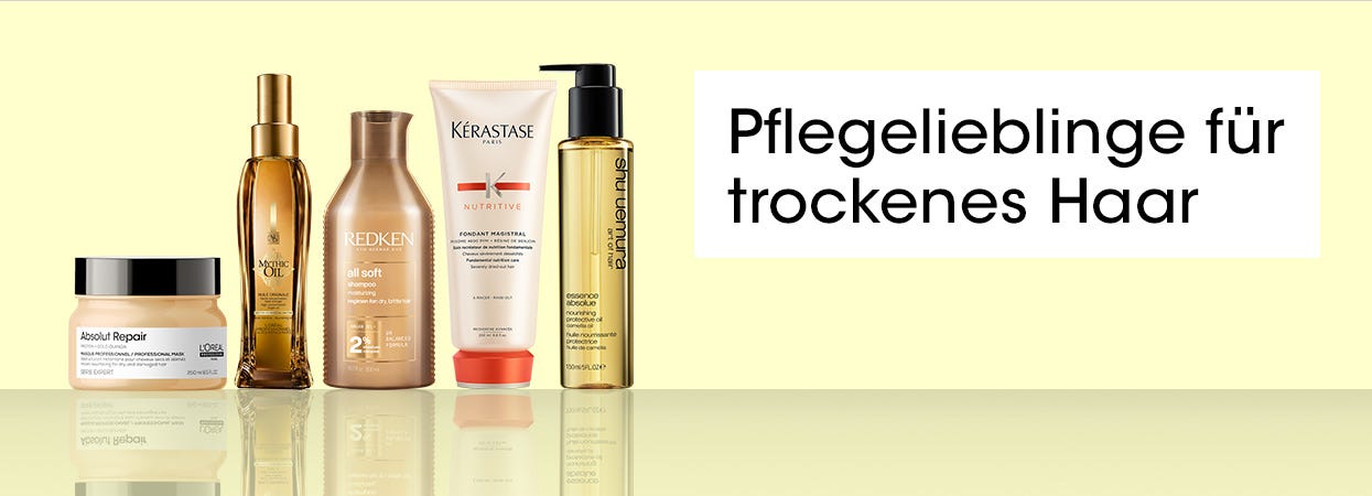 Trockenes Haar Trockenes Haar