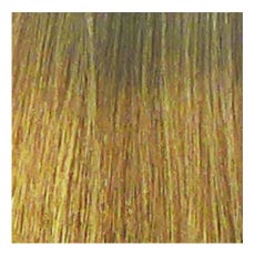 Eslx Color 10 lichtblond extra