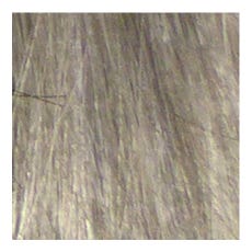 Eslx Color 9.1 lichtblond asch