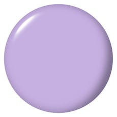 Spring Intro Action