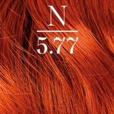 N | 3.77 Spicy Ginger